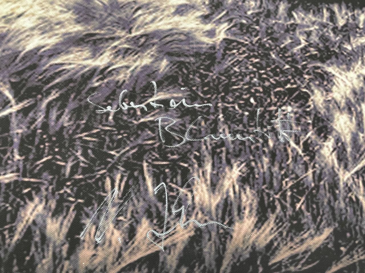 70x100 cm THE CROPPIES - Mit 9 Signaturen